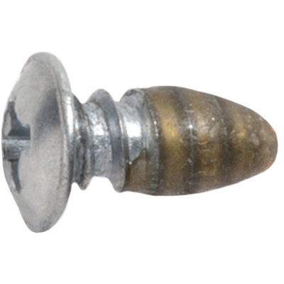 (image for) 64-65 MOLDING SCREW WITH SEALER, 8 X 3/8"
