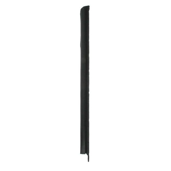 DOOR GLASS W/S